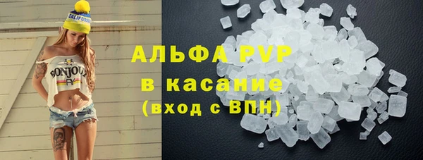 амф Верхний Тагил