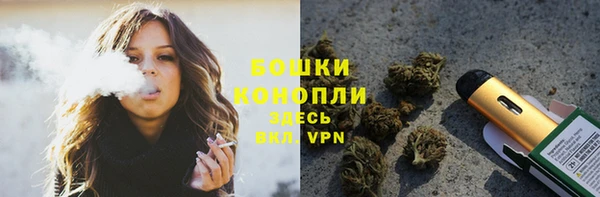 амф Верхний Тагил
