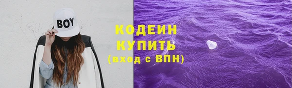амф Верхний Тагил