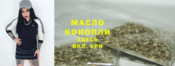 амф Верхний Тагил