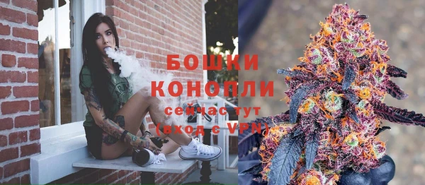 амф Верхний Тагил