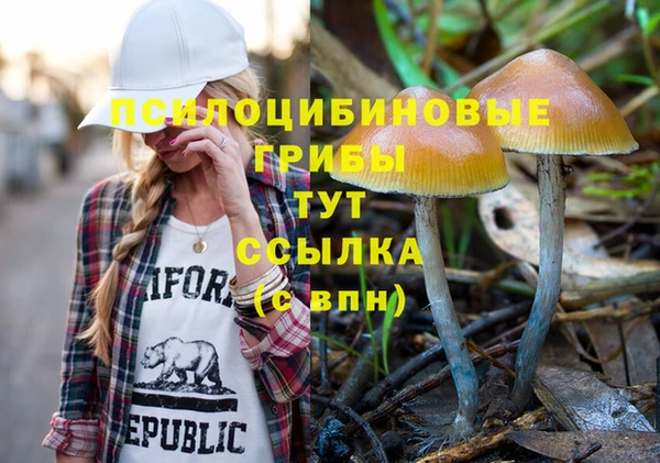 амф Верхний Тагил