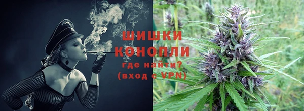 амф Верхний Тагил
