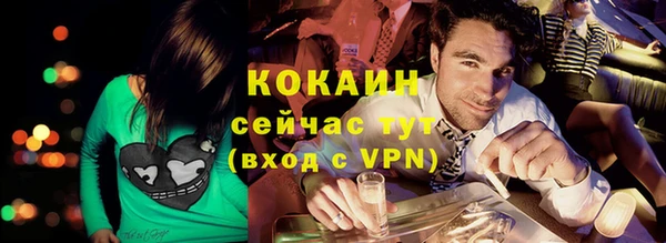 амф Верхний Тагил