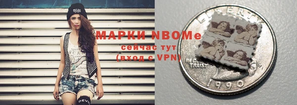 амф Верхний Тагил