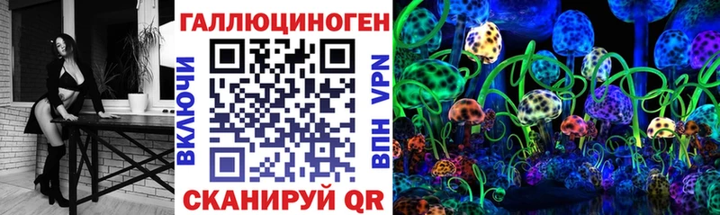 Купить Мариинск Псилоцибиновые грибы мицелий